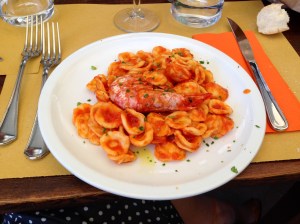 Orecchiette con un Gambero