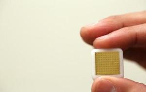 greenhouse_20kirsner-1_business.r